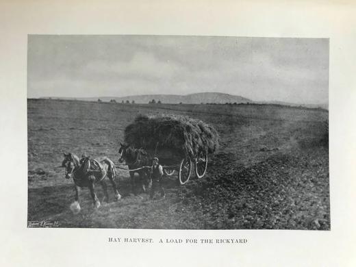 含藏书票！1914年 乡村的一年四季 12幅彩色20幅黑白插图 漆布精装大32开 商品图14