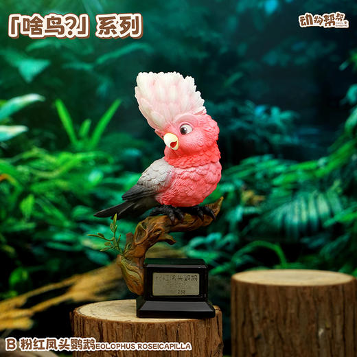 灰鹦鹉&粉红凤头鹦鹉  啥鸟系列④ 模型摆件 鸟类周边潮玩 ★动物帮帮 官方正品【48小时发货】 商品图4