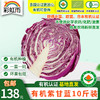 包邮【基地直发】有机蔬菜紫甘蓝4斤/6斤/10斤欧盟认证现摘新鲜 商品缩略图6