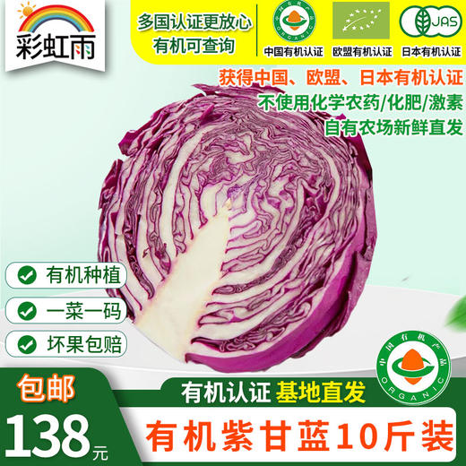 包邮【基地直发】有机蔬菜紫甘蓝4斤/6斤/10斤欧盟认证现摘新鲜 商品图6