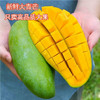 越南玉芒大芒果酸甜多汁清脆爽口 商品缩略图0