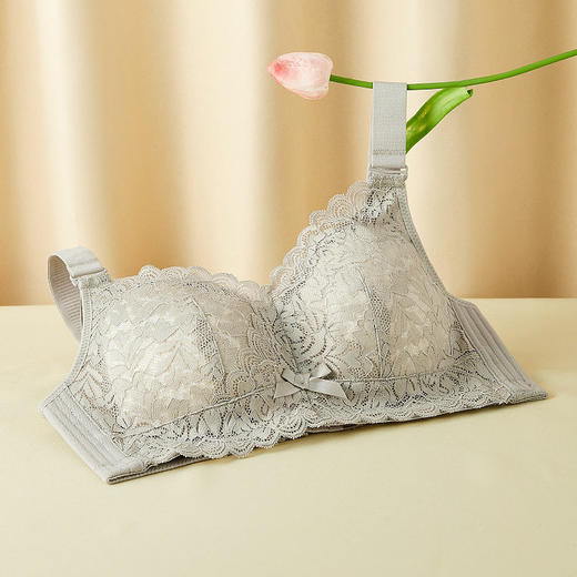 QC-W6212*  大胸显小内衣女薄款大码无钢圈聚拢上托防下垂收副乳全罩杯文胸（单件） 商品图1