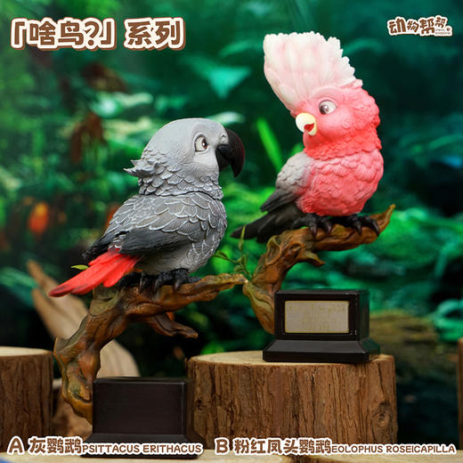 灰鹦鹉&粉红凤头鹦鹉  啥鸟系列④ 模型摆件 鸟类周边潮玩 ★动物帮帮 官方正品【48小时发货】 商品图5