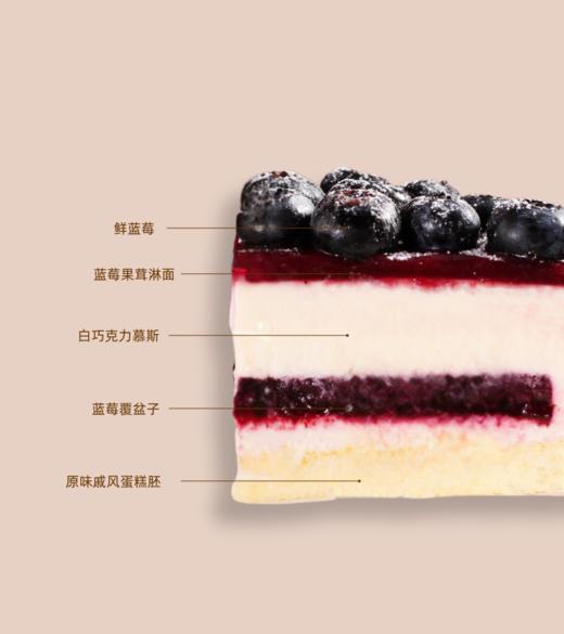 蓝朵蕾 商品图1