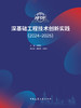 深基础工程技术创新实践（2024—2025） 商品缩略图2