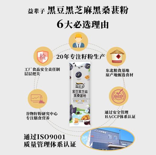 益辈子 黑豆黑芝麻黑桑葚粉 商品图2