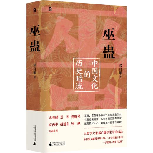 巫蛊：中国文化的历史暗流   邓启耀  著   人类学名家邓启耀代表作，初版25年来首次增订版 商品图1