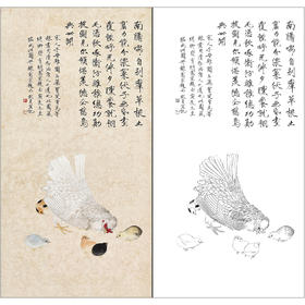 俞致贞花鸟工笔画白描底稿鸡《教子图》临摹勾线高清打印稿ZZ77