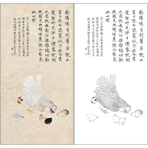 俞致贞花鸟工笔画白描底稿鸡《教子图》临摹勾线高清打印稿ZZ77 商品图0