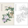 俞致贞花鸟工笔画白描底稿《富贵长安》牡丹临摹勾线高清打印稿ZZ85 商品缩略图0