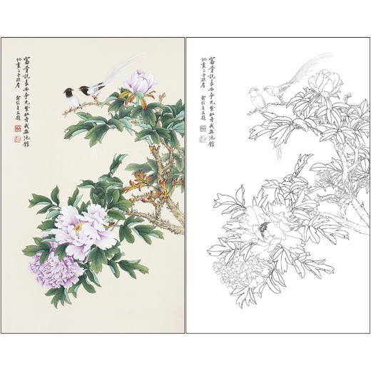 俞致贞花鸟工笔画白描底稿《富贵长安》牡丹临摹勾线高清打印稿ZZ85 商品图0