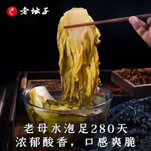 老坛人家鱼酸菜 400g 商品图2