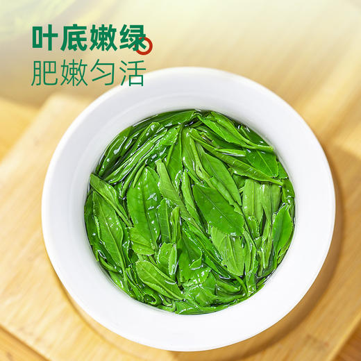 茶马世家恩施玉露明前春茶500g大分量装 商品图3