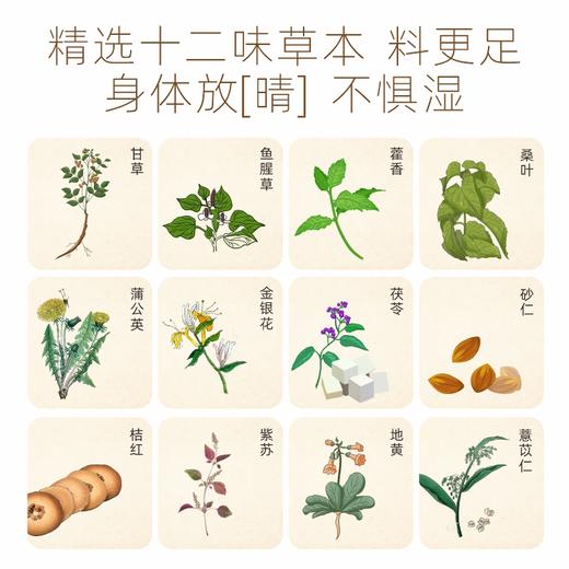 “非遗第53号秘方广州老字号”清心堂 百湿离草本饮 20ml*10支/盒 商品图2