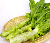 莴笋 商品缩略图0