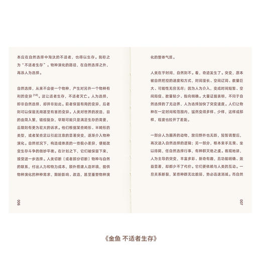 东方造物之美2册套装 《金鱼》《盆景》在游鳞与虬枝间 探索东方造物美学的密码 谷泉 商品图1