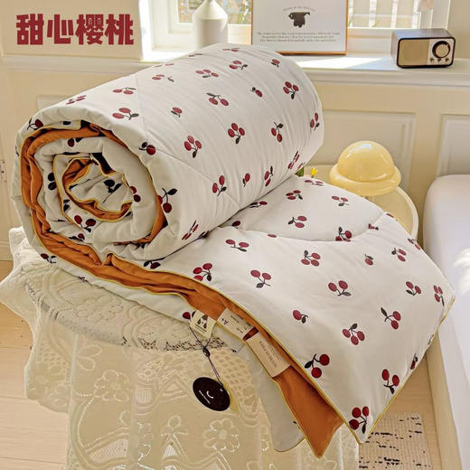 🔥【韩国双层纱夏凉被】春夏新品‼蹲点抢出口💥官仓直发‼ 低至两位数抢‼✨线下门店零售价988元 🌸又柔❗又软❗又舒服的一款夏被 【双层纱A类云朵棉大豆被】  商品图5