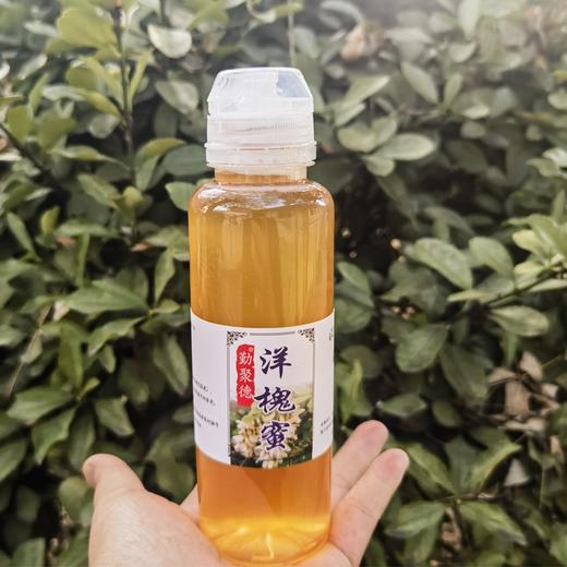 【陕西延安】水白蜜/洋槐蜜/愧花蜜 蜂蜜采集于延安万亩槐花林、采集的蜂蜜味道甜美而不腻 500g/瓶 商品图0