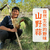 【密云】野蒜包邮装 春日限定 味浓鲜嫩包饺子做馅野葱小根蒜独野小蒜山蒜 商品缩略图0