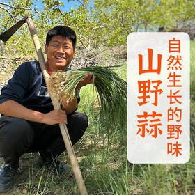 【密云】野蒜包邮装 春日限定 味浓鲜嫩包饺子做馅野葱小根蒜独野小蒜山蒜