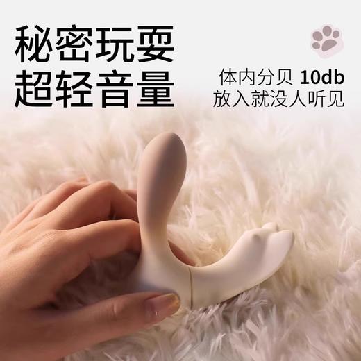 海狸 外出穿戴玩具——可入体、可体外、APP远程遥控、多种玩法、静音隐秘 商品图4