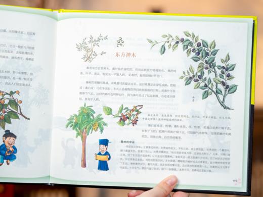 《中国古代百科全书》精装典藏版（全8册）|底本专业 5000年中华文明浓缩 见识咔咔猛涨 商品图3