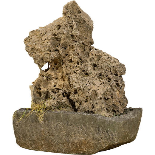 清	昆石赏石及石盆 商品图5