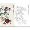 俞致贞花鸟工笔画白描底稿《富贵白头》牡丹临摹勾线高清打印稿ZZ83 商品缩略图0