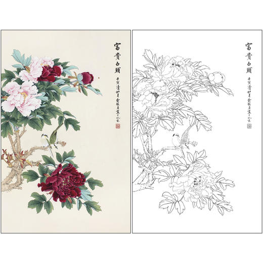 俞致贞花鸟工笔画白描底稿《富贵白头》牡丹临摹勾线高清打印稿ZZ83 商品图0