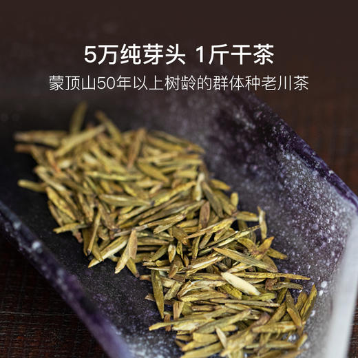 2025年开园头采蒙顶黄芽，群体种老川茶 40g/罐 商品图2