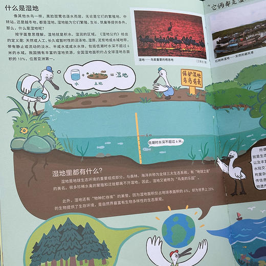 飞吧，小黑皮：中国候鸟的迁徙之路 商品图4