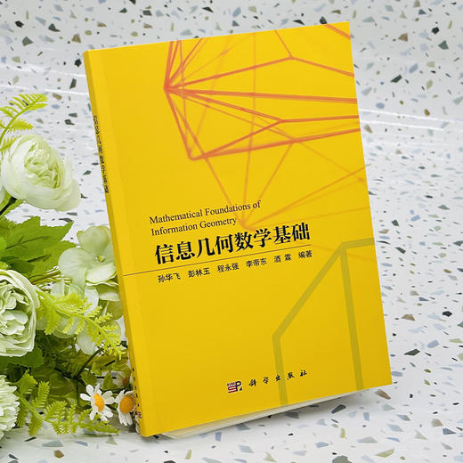 信息几何数学基础 商品图2