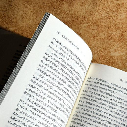 非洲现代经济史 十九世纪 保罗·提杨贝·泽勒扎 非洲历史研究 商品图10
