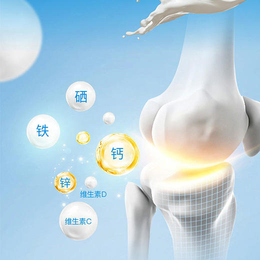 雅泰龙德 中老年多维高钙羊奶粉  黄金奶源高钙营养健康独特好配方 商品图2