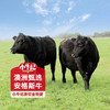 【小牛纪】澳洲安格斯谷饲金钱腱2.4斤 天然原切无添加 商品缩略图7