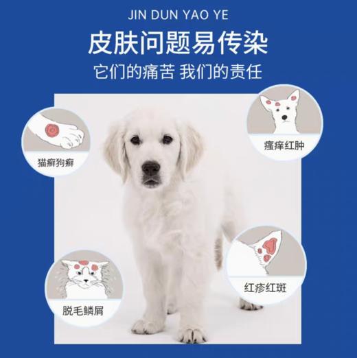 金盾皮特芬软膏猫藓外用药 宠物猫癣药狗狗皮肤病专用药 商品图1