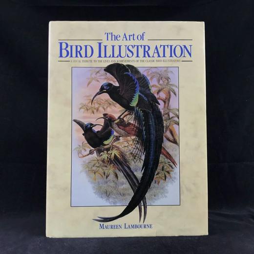 鸟类插画艺术图集 百余幅彩色插图 精装大16开 商品图0