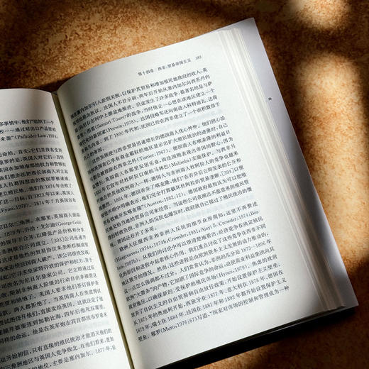 非洲现代经济史 十九世纪 保罗·提杨贝·泽勒扎 非洲历史研究 商品图12