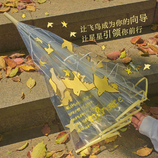 小王子飞鸟伞 原创设计 透明雨伞高颜值礼物 治愈卡通长柄伞加厚加固  果麦文创 商品图4
