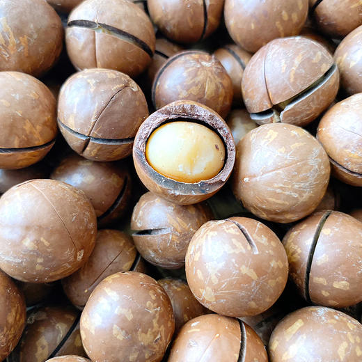 零食奶油味夏威夷果 商品图2