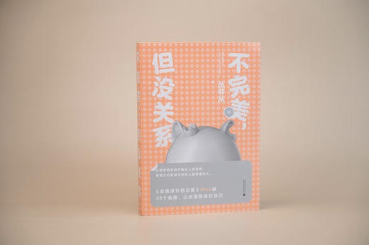 不完美，但没关系 丛非从 著 商品图2