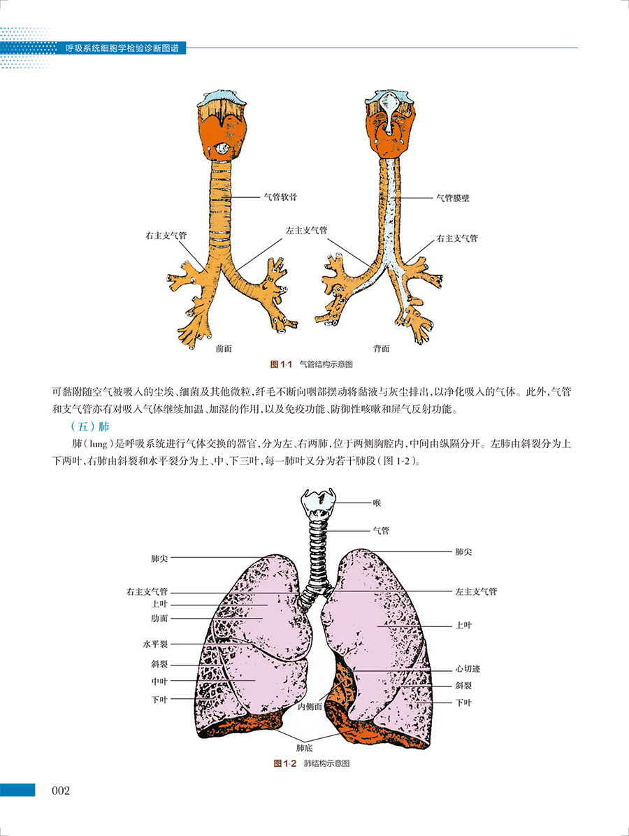 34086(yz) (2).jpg