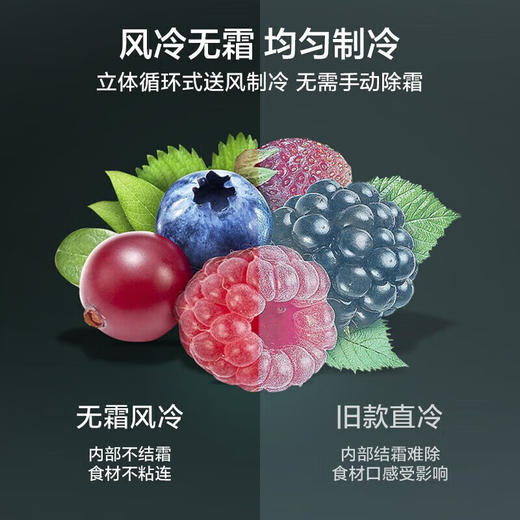 美的236升三门三温区家用冰箱风冷无霜电冰箱_节能低噪_风冷无霜_铂金净味_政府补贴_BCD-236WTM(E)_沁玉蓝-星烁_236升 商品图3