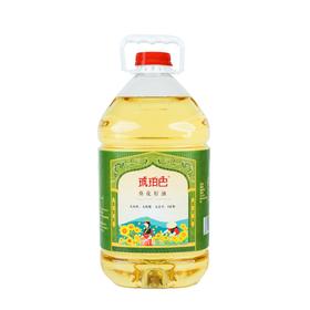 琥珀色5LPET桶装纯葵花籽油