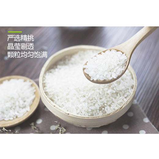 费瑞能 低谷软香5号天然种植米非淀粉合成真米420g 商品图4