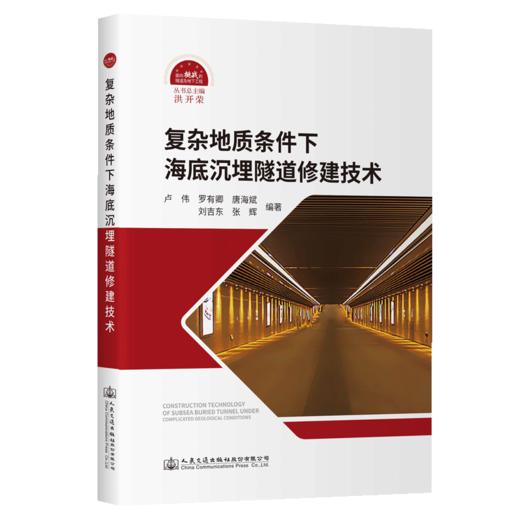复杂地质条件下海底沉埋隧道修建技术 商品图2