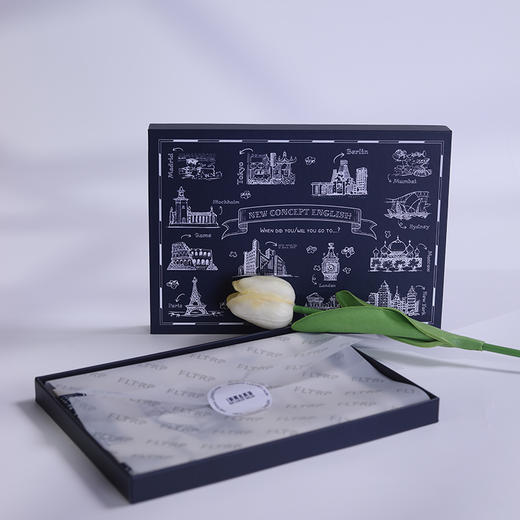 英伦风格双面印花丝巾（新概念英语文创） 商品图1