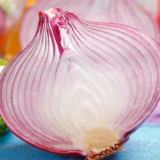 新鲜红皮水果洋葱 新鲜圆葱头 个大饱满 香味浓郁 商品图7