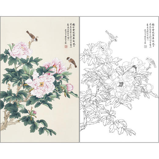 俞致贞花鸟工笔画白描底稿《花开富贵》牡丹临摹勾线高清打印稿ZZ84 商品图0