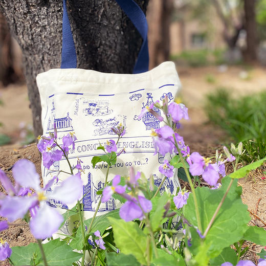 英伦帆布包CityBag（新概念英语文创） 商品图11